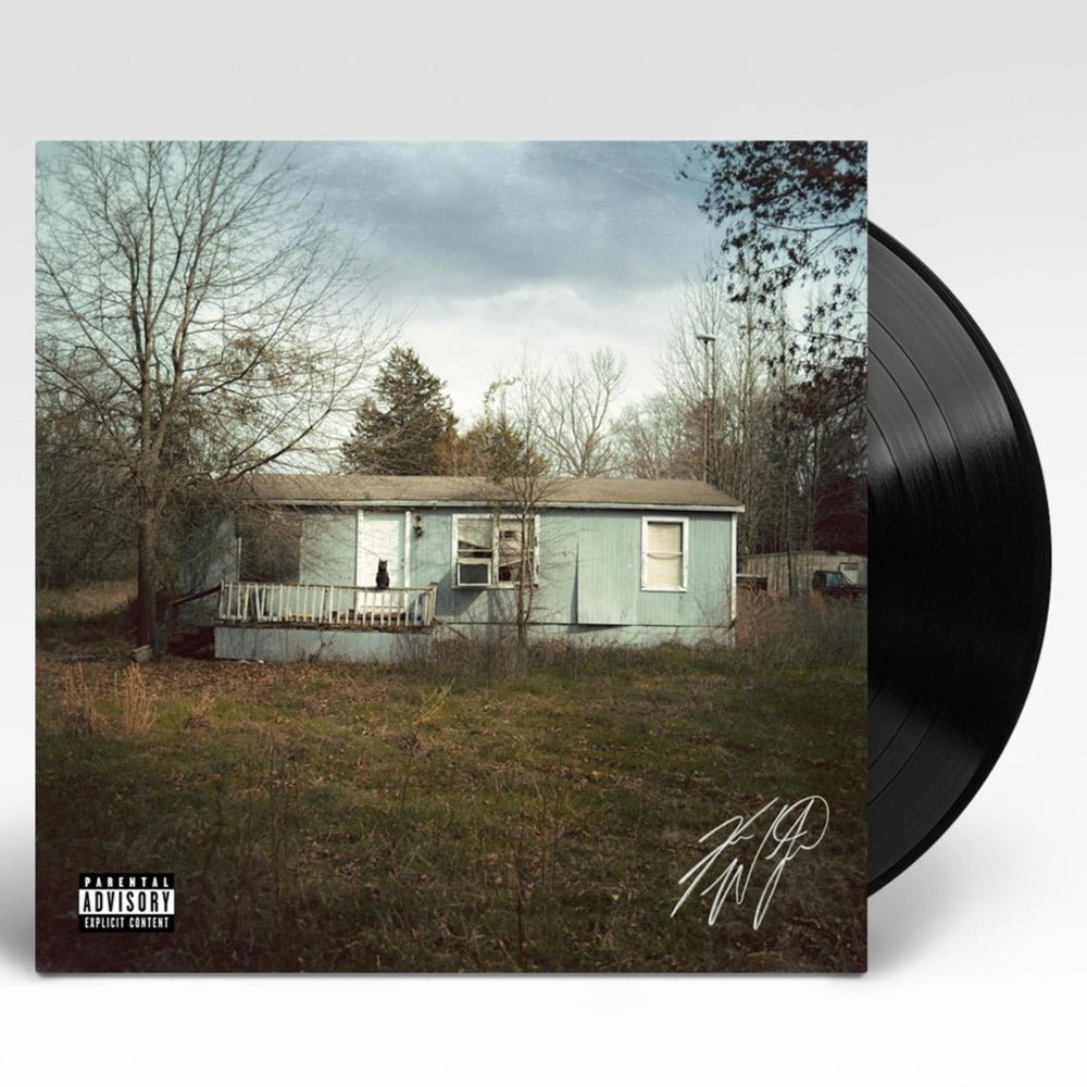 9 Lives - Koe Wetzel - metafield_custom.product_key_info -  - The Vinyl Store