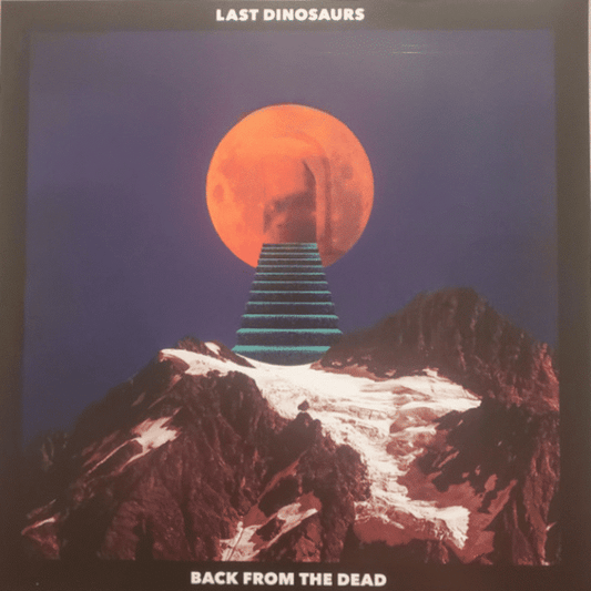 Back From The Dead - Last Dinosaurs - metafield_custom.product_key_info -  - The Vinyl Store