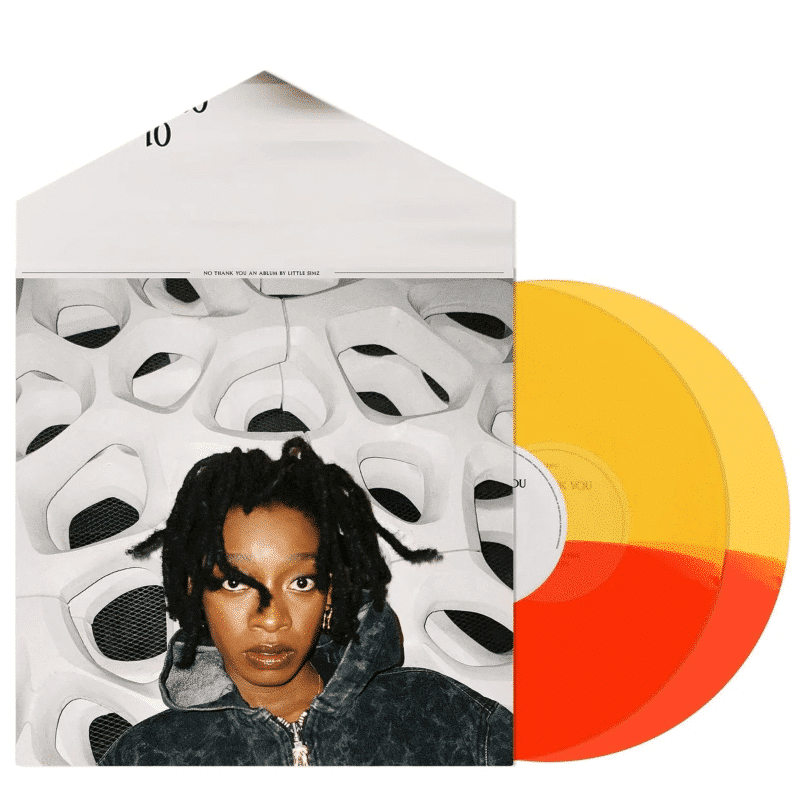 No Thank You - Little Simz - 2lp - 5056167177326 - The Vinyl Store