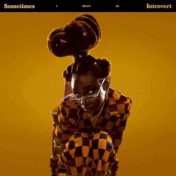 Sometimes I Might Be Introvert - Little Simz - 2lp - 5056167161455 - The Vinyl Store