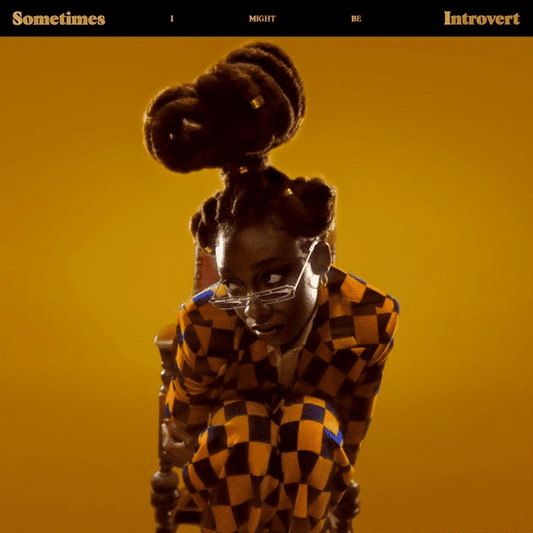 Sometimes I Might Be Introvert - Little Simz - metafield_custom.product_key_info -  - The Vinyl Store