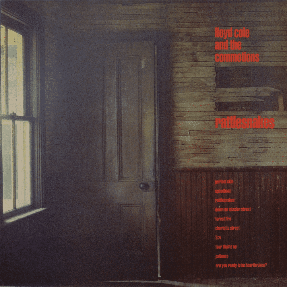 Rattlesnakes - Lloyd Cole And The Commotions - lp - 805520240215 - The Vinyl Store