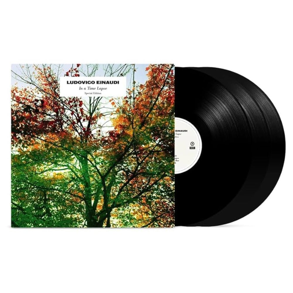 In A Time Lapse - Ludovico Einaudi - metafield_custom.product_key_info - 602537352968 - The Vinyl Store