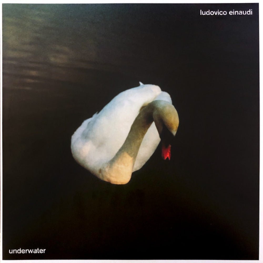 Underwater - Ludovico Einaudi - metafield_custom.product_key_info - 602438754625 - The Vinyl Store