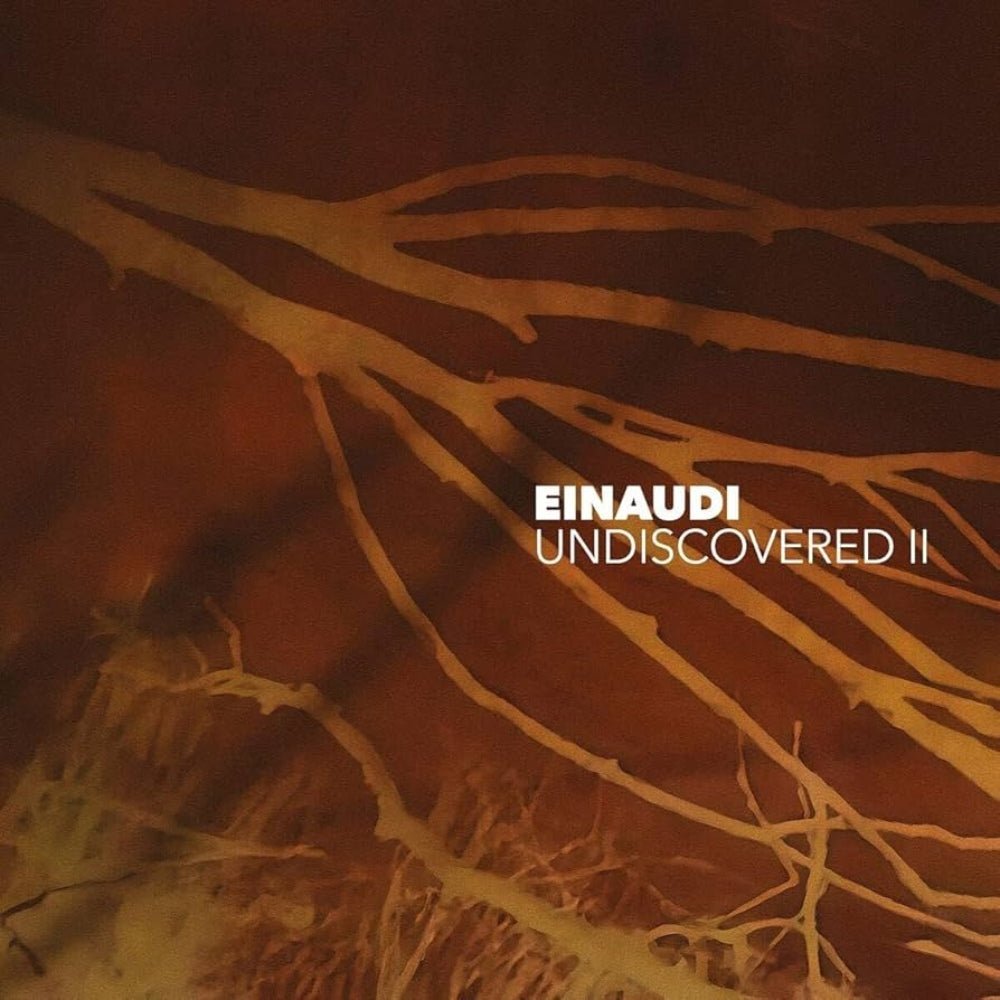 Undiscovered II - Ludovico Einaudi - metafield_custom.product_key_info - 602448671141 - The Vinyl Store