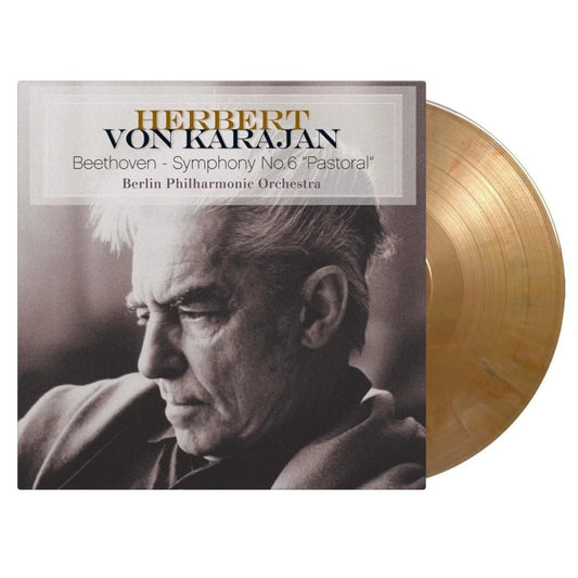 Symphony No.6 Pastoral - Ludwig Van Beethoven - metafield_custom.product_key_info - 8719039007707 - The Vinyl Store