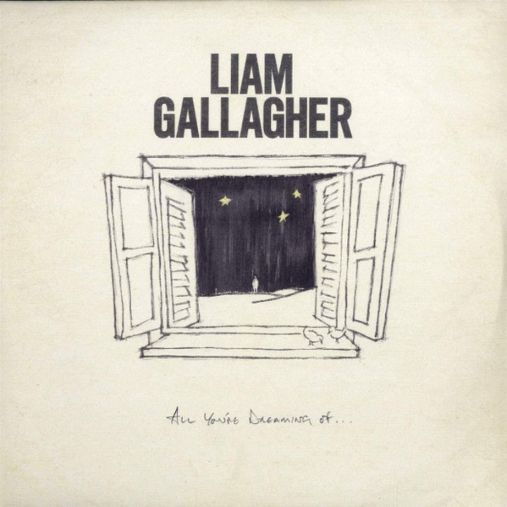 All You're Dreaming Of - Liam Gallagher - metafield_custom.product_key_info -  - The Vinyl Store