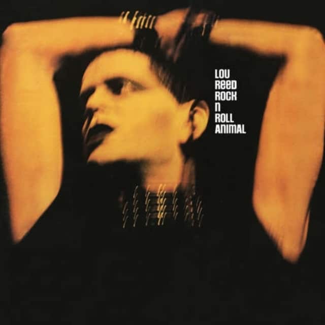 Rock N Roll Animal - Lou Reed - lp - 889853490417 - The Vinyl Store