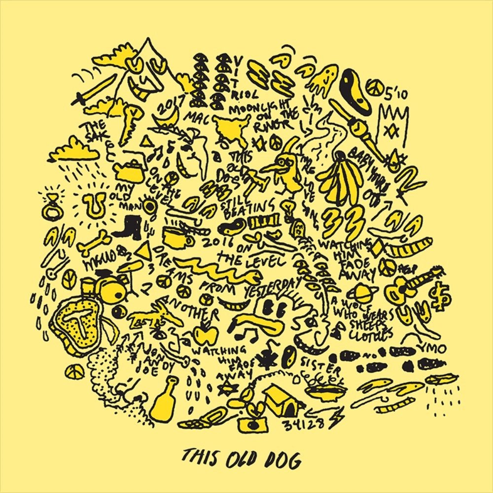 This Old Dog - Mac Demarco - lp - 817949013158 - The Vinyl Store