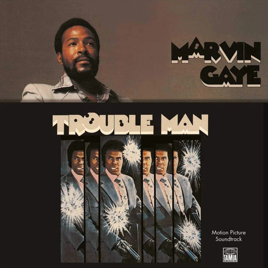Trouble Man - Marvin Gaye - metafield_custom.product_key_info -  - The Vinyl Store