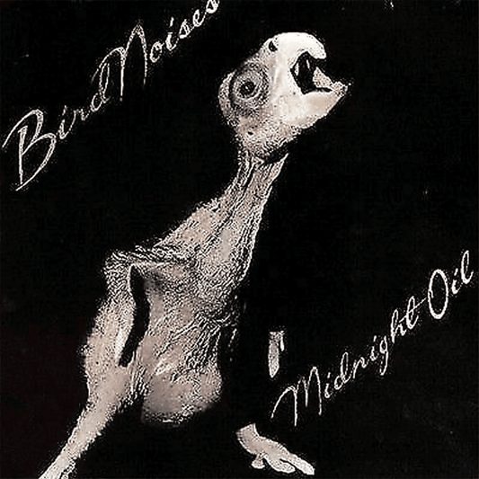 Bird Noises - Midnight Oil - metafield_custom.product_key_info -  - The Vinyl Store