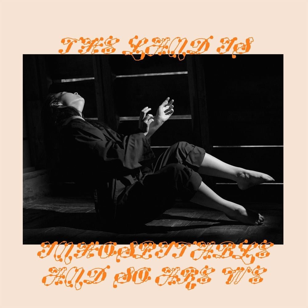 The Land Is Inhospitable And So Are We - Mitski - metafield_custom.product_key_info - 656605165059 - The Vinyl Store