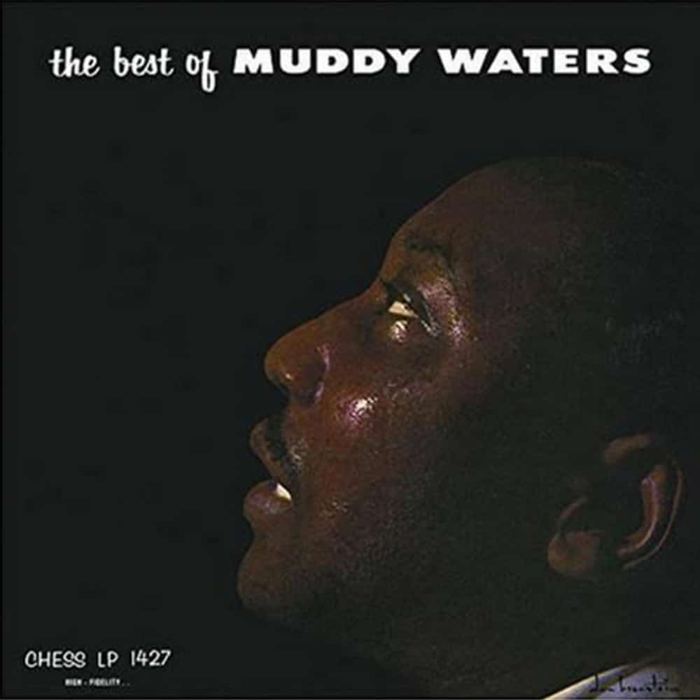 The Best Of Muddy Waters (Compilation) - Muddy Waters - metafield_custom.product_key_info -  - The Vinyl Store