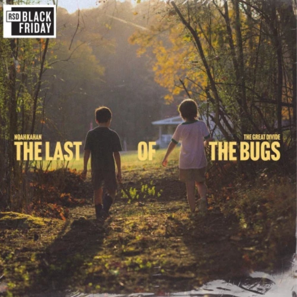 Great Divide: The Last Of The Bugs - Noah Kahan - #metafield_custom.product_key_info# - 881061385974 - The Vinyl Store