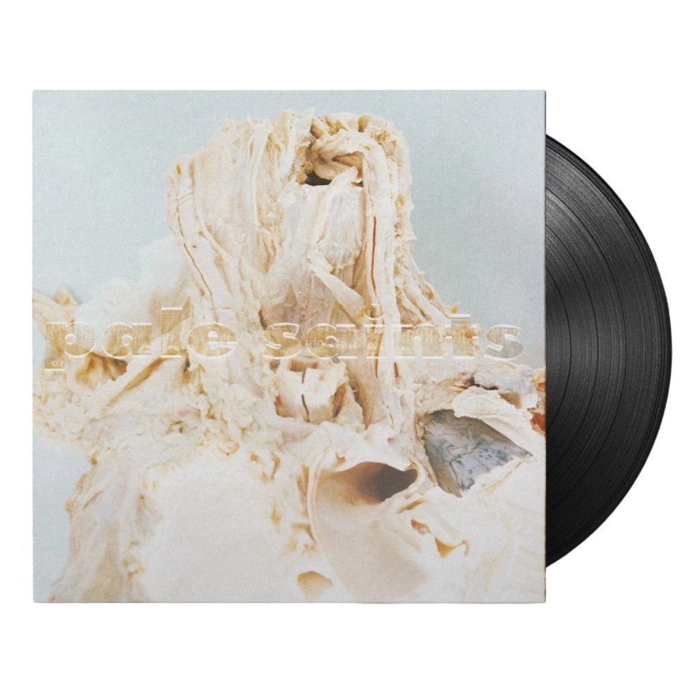 In Ribbons - Pale Saints - metafield_custom.product_key_info -  - The Vinyl Store