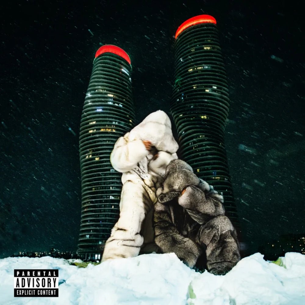 $ome $exy $ongs 4 U - Partynextdoor, Drake - metafield_custom.product_key_info - 808391281561 - The Vinyl Store