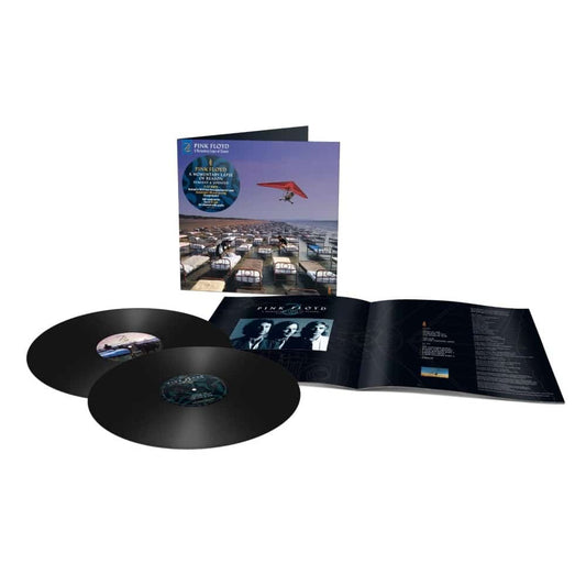 A Momentary Lapse Of Reason - Pink Floyd - metafield_custom.product_key_info -  - The Vinyl Store