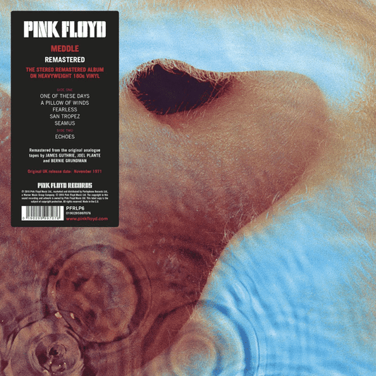 Meddle - Pink Floyd - lp - 888751842311 - The Vinyl Store