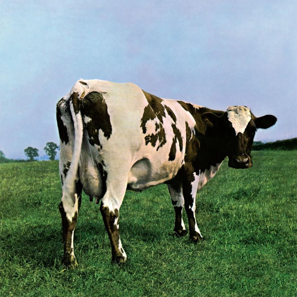 Atom Heart Mother - Pink Floyd - metafield_custom.product_key_info - 888751708822 - The Vinyl Store