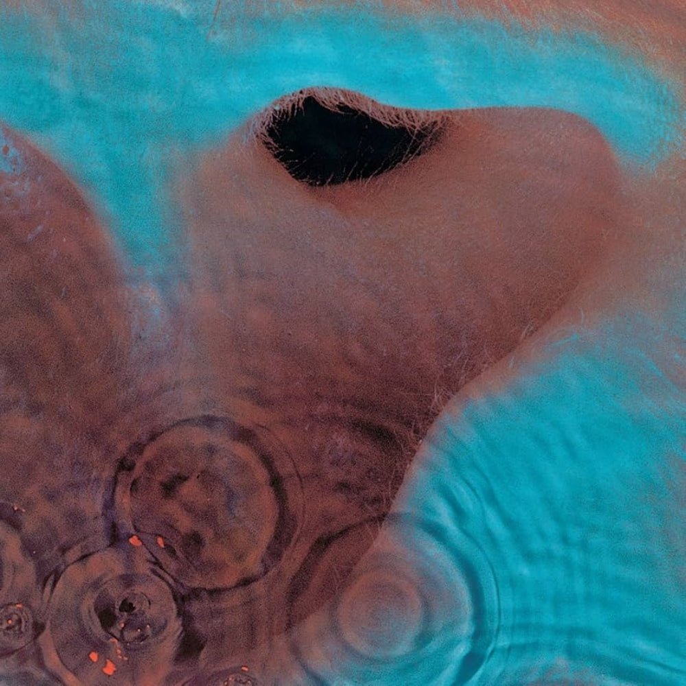 Meddle - Pink Floyd - metafield_custom.product_key_info - 888751708921 - The Vinyl Store