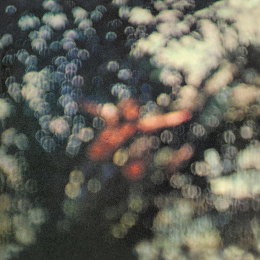 Obscured By Clouds - Pink Floyd - metafield_custom.product_key_info - 888751709027 - The Vinyl Store
