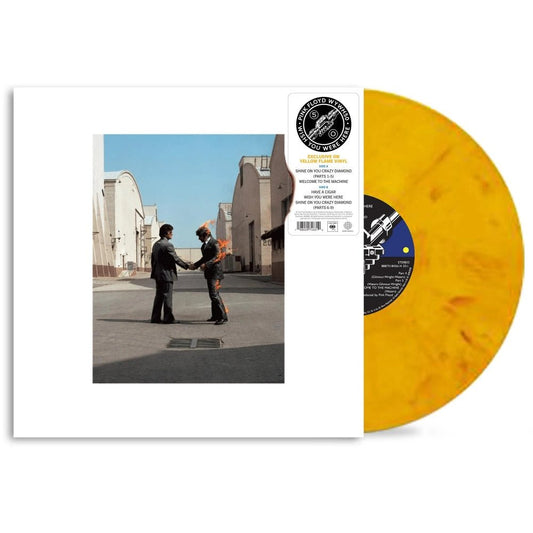 Wish You Were Here - Pink Floyd - metafield_ custom.product_key_info - 198029746310 - The Vinyl Store