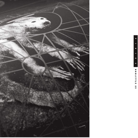 Doolittle 25: B-Sides, Peel Sessions And Demos - Pixies - metafield_custom.product_key_info - 652637342529 - The Vinyl Store