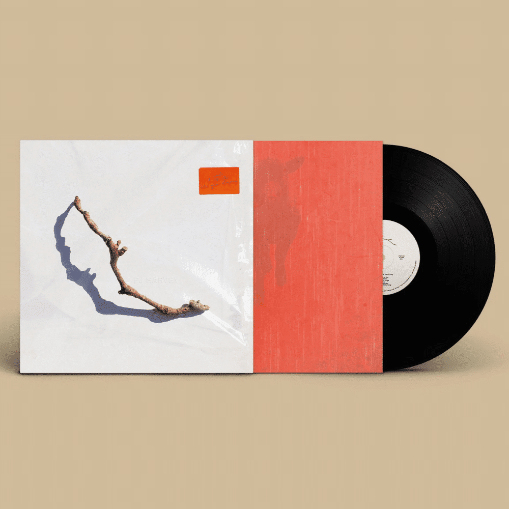 I Inside The Old Year Dying - PJ Harvey - metafield_custom.product_key_info -  - The Vinyl Store