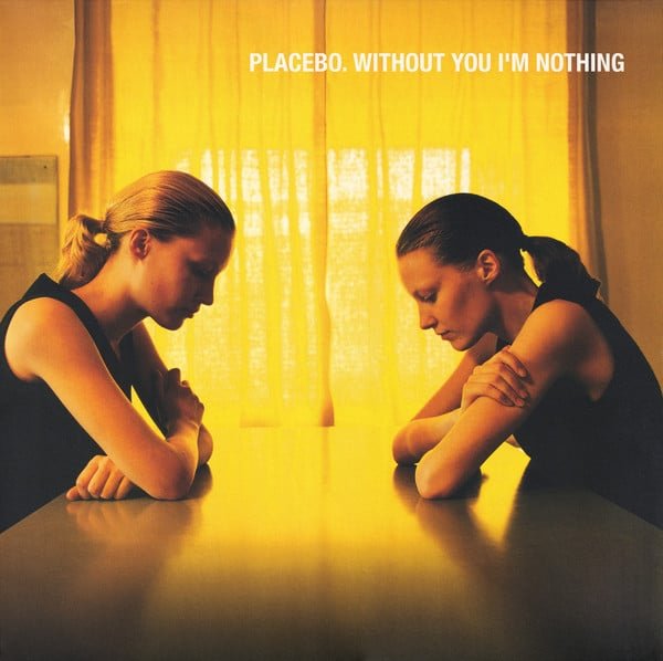 Without You I'm Nothing - Placebo - lp - 5056167110439 - The Vinyl Store