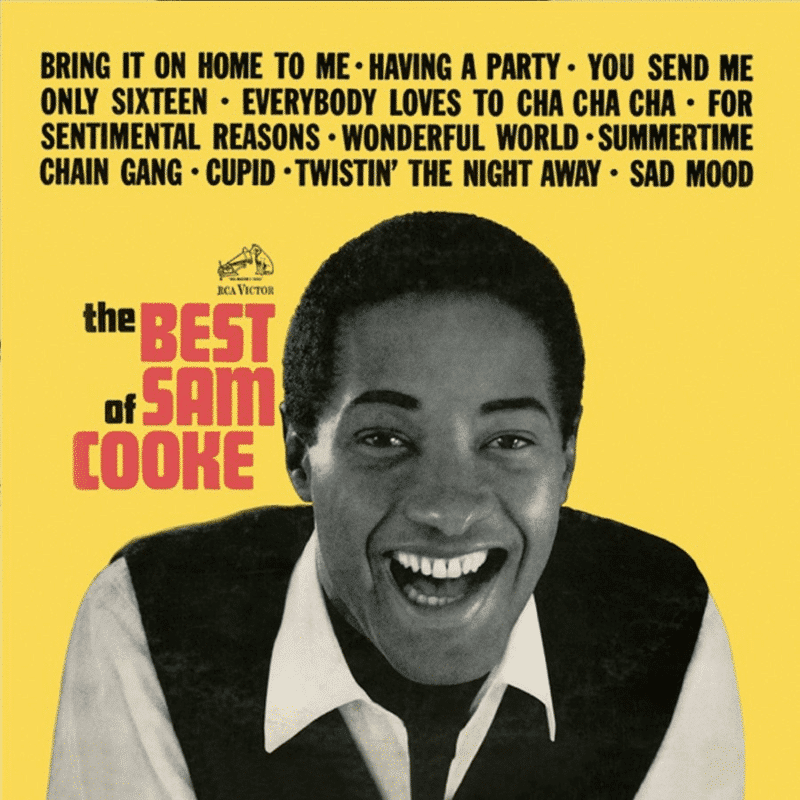 The Best Of Sam Cooke (Compilation) - Sam Cooke - lp - 190758749310 - The Vinyl Store
