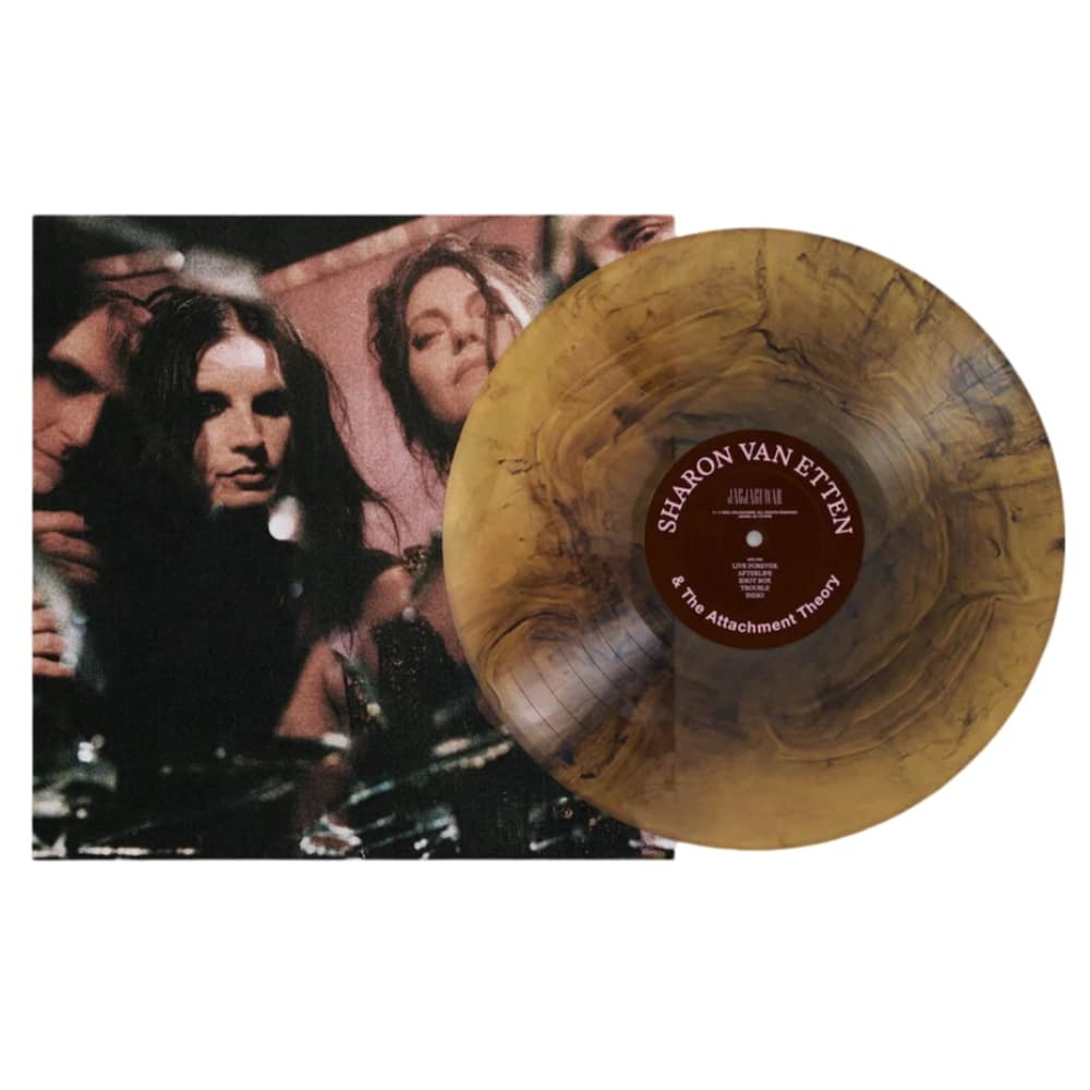 Sharon Van Etten & The Attachment Theory - Sharon Van Etten - metafield_custom.product_key_info -  - The Vinyl Store