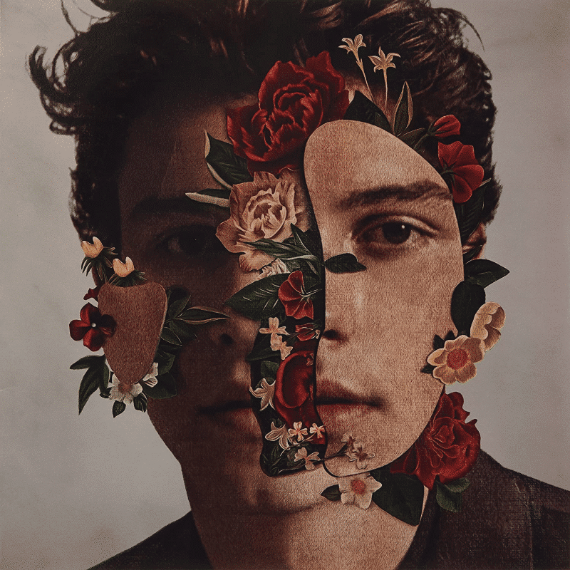 Shawn Mendes - Shawn Mendes - lp - 602567569497 - The Vinyl Store
