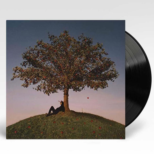 Tyron - Slowthai - lp - 602435470283 - The Vinyl Store