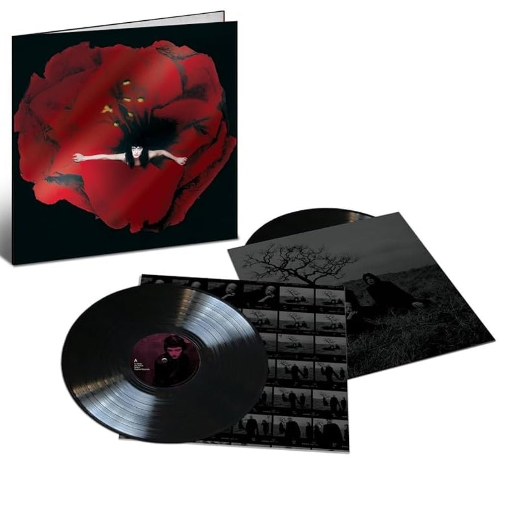 Adore - The Smashing Pumpkins - metafield_custom.product_key_info -  - The Vinyl Store