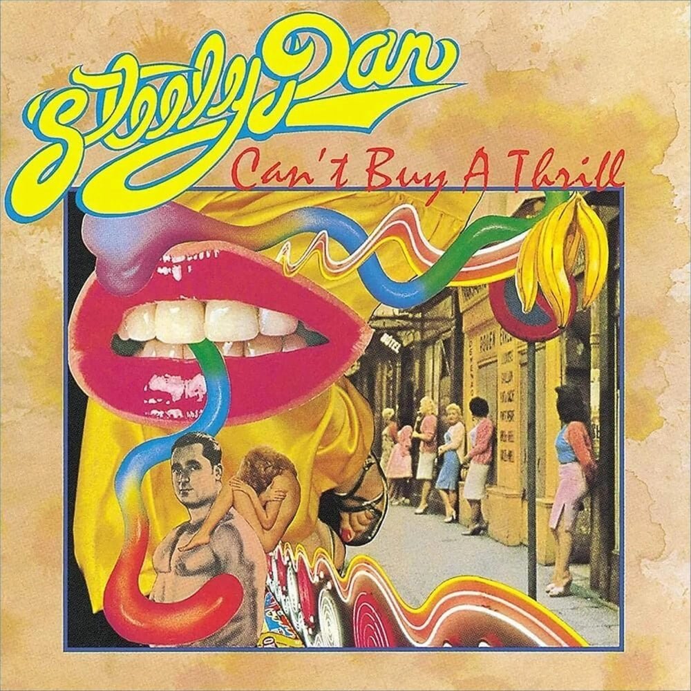 Can't Buy A Thrill - Steely Dan - metafield_custom.product_key_info -  - The Vinyl Store