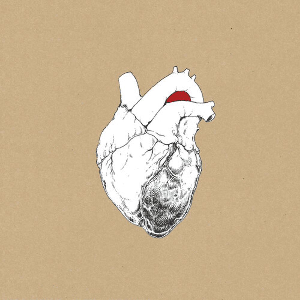 The Beggar - Swans - 2lp - 5400863101480 - The Vinyl Store