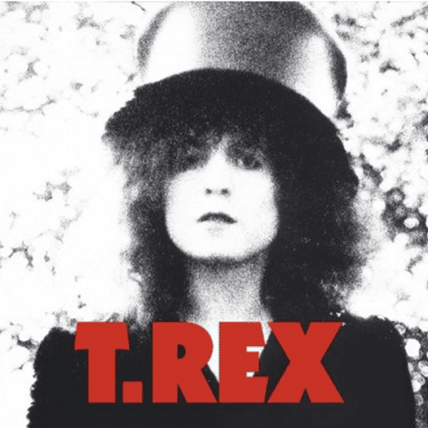 The Slider - T. Rex - lp - 5014797138957 - The Vinyl Store