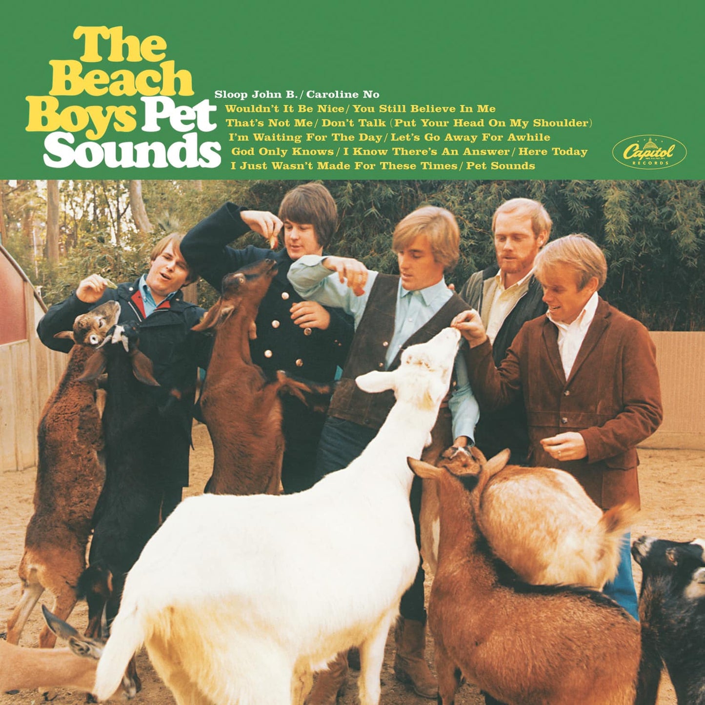 Pet Sounds - The Beach Boys - metafield_custom.product_key_info -  - The Vinyl Store
