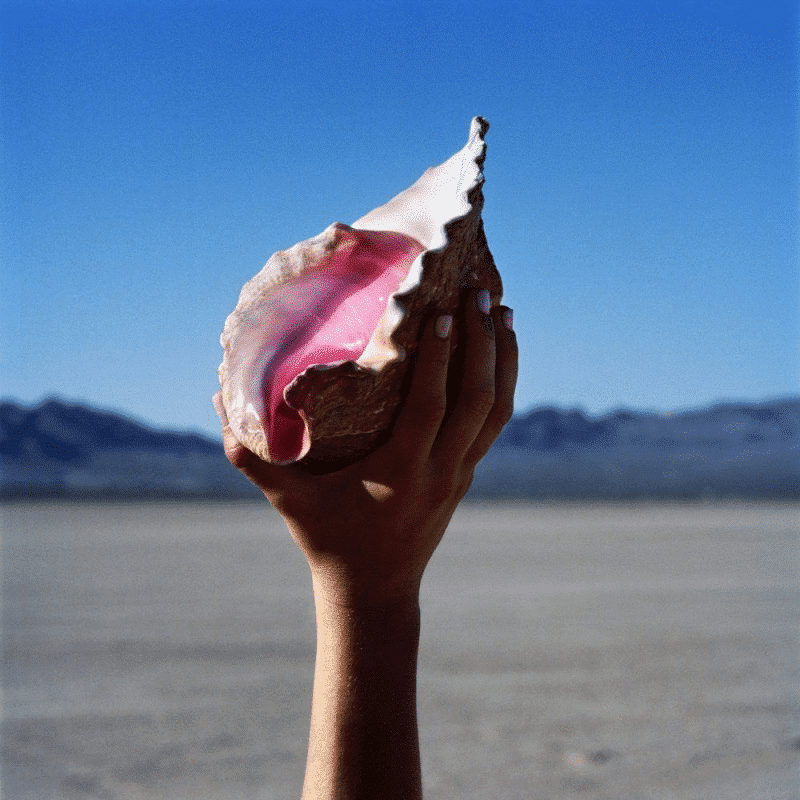 Wonderful Wonderful - The Killers - metafield_custom.product_key_info -  - The Vinyl Store