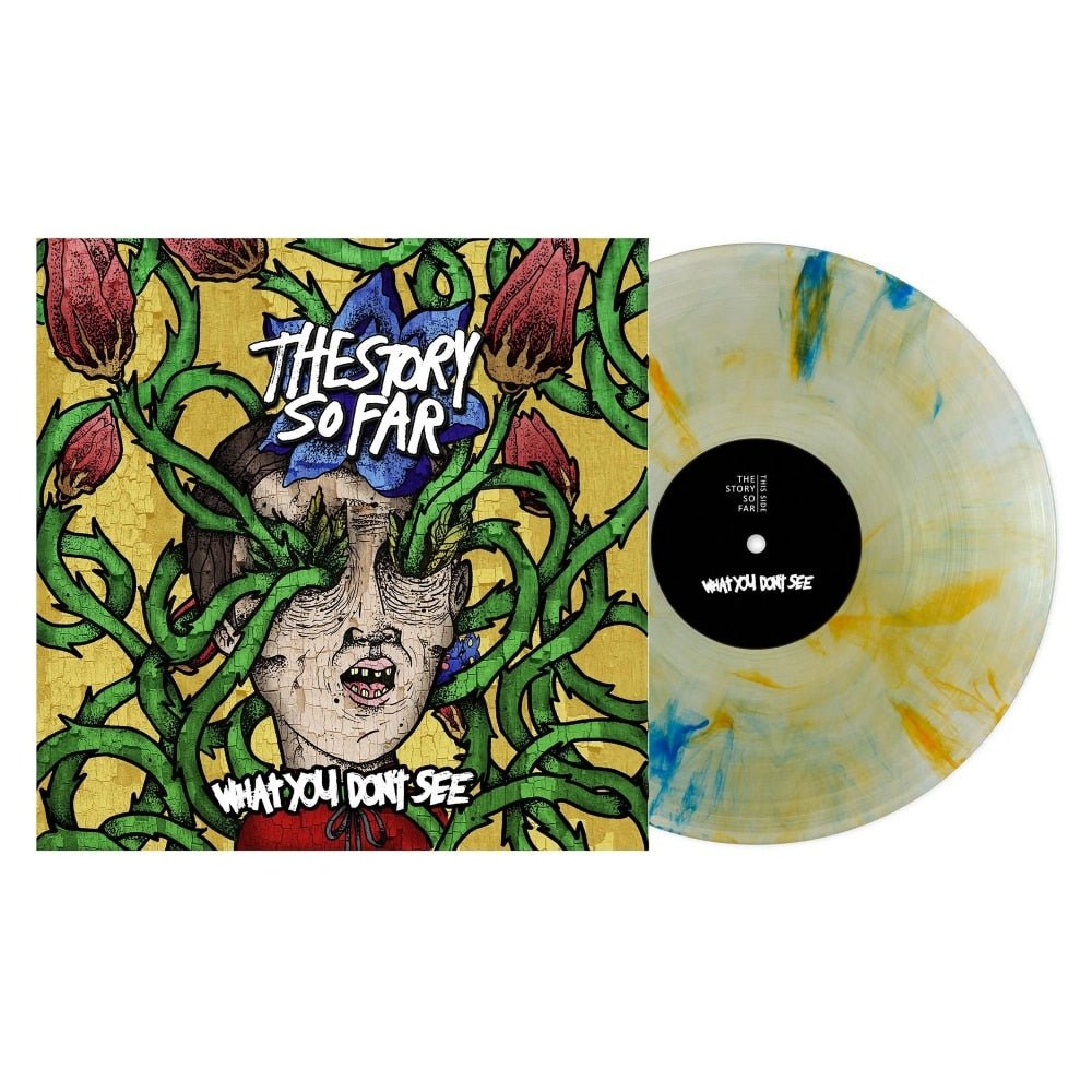 What You Don't See - The Story So Far - metafield_custom.product_key_info -  - The Vinyl Store