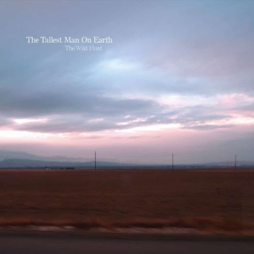 The Wild Hunt - The Tallest Man On Earth - metafield_custom.product_key_info -  - The Vinyl Store