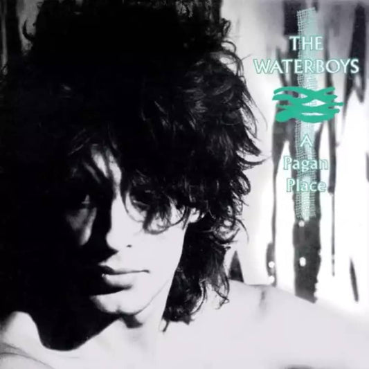 A Pagan Place - The Waterboys - lp - 825646293643 - The Vinyl Store