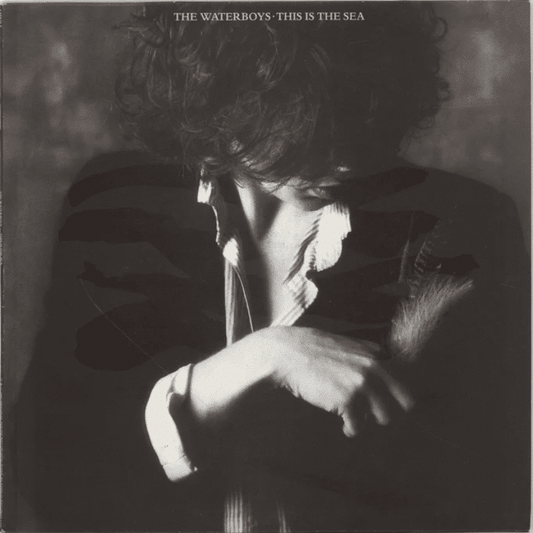 This Is The Sea - The Waterboys - lp - 825646223800 - The Vinyl Store