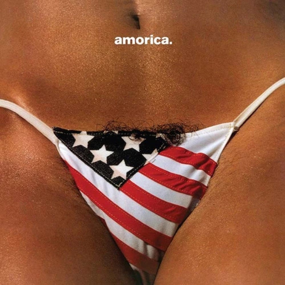 Amorica - The Black Crowes - metafield_custom.product_key_info - 602478382796 - The Vinyl Store