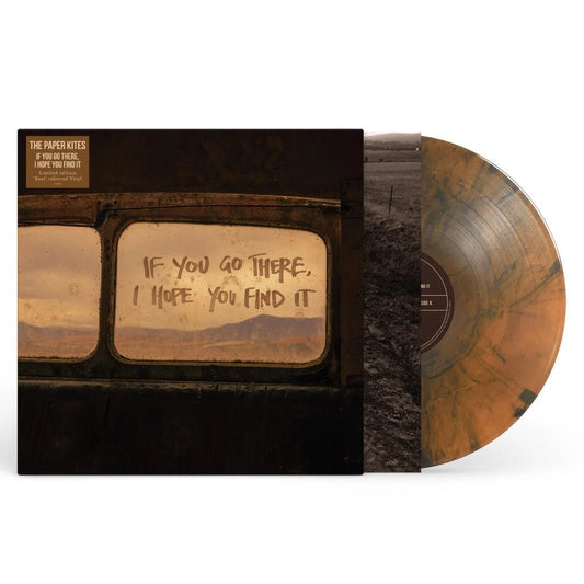 If You Go There, I Hope You Find It - The Paper Kites - metafield_ custom.product_key_info - 198029860115 - The Vinyl Store