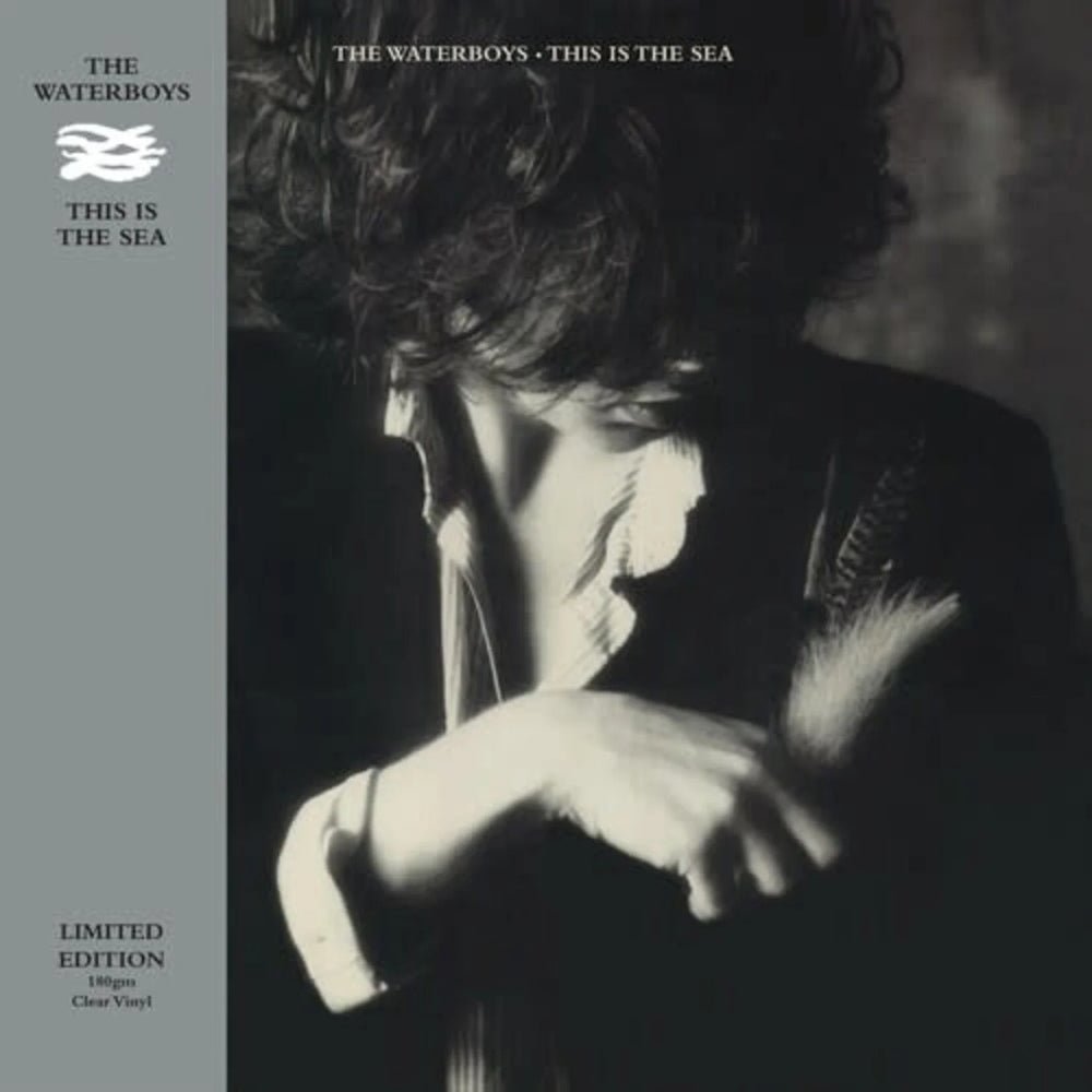 This Is The Sea - The Waterboys - metafield_custom.product_key_info - 810098504669 - The Vinyl Store