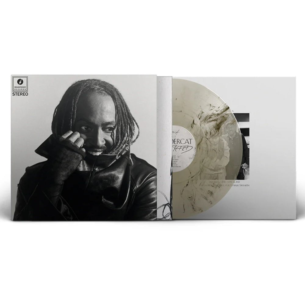 Distracted - Thundercat - metafield_custom.product_key_info - 5054429209723 - The Vinyl Store