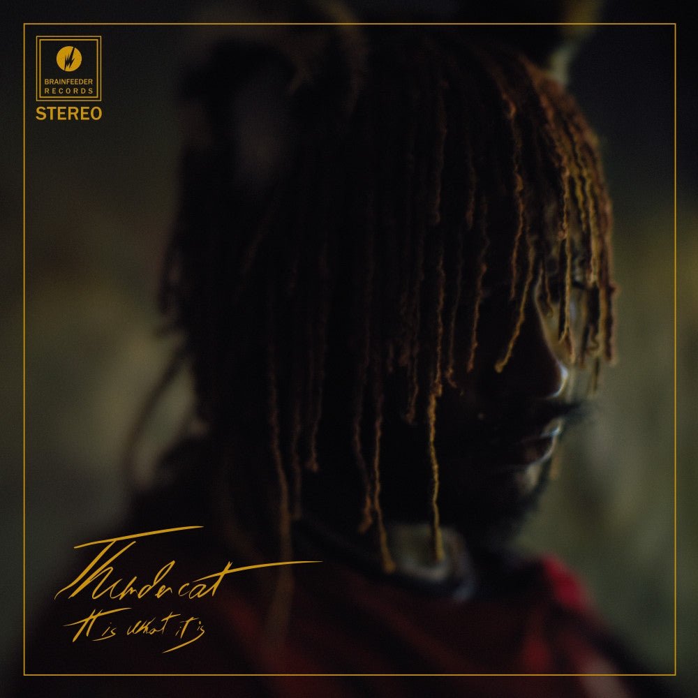 It Is What It Is - Thundercat - metafield_custom.product_key_info - 5054429140439 - The Vinyl Store