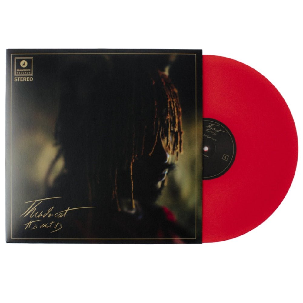 It Is What It Is - Thundercat - metafield_custom.product_key_info - 5054429140439 - The Vinyl Store