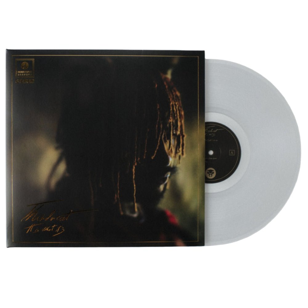 It Is What It Is - Thundercat - metafield_custom.product_key_info - 5054429140798 - The Vinyl Store